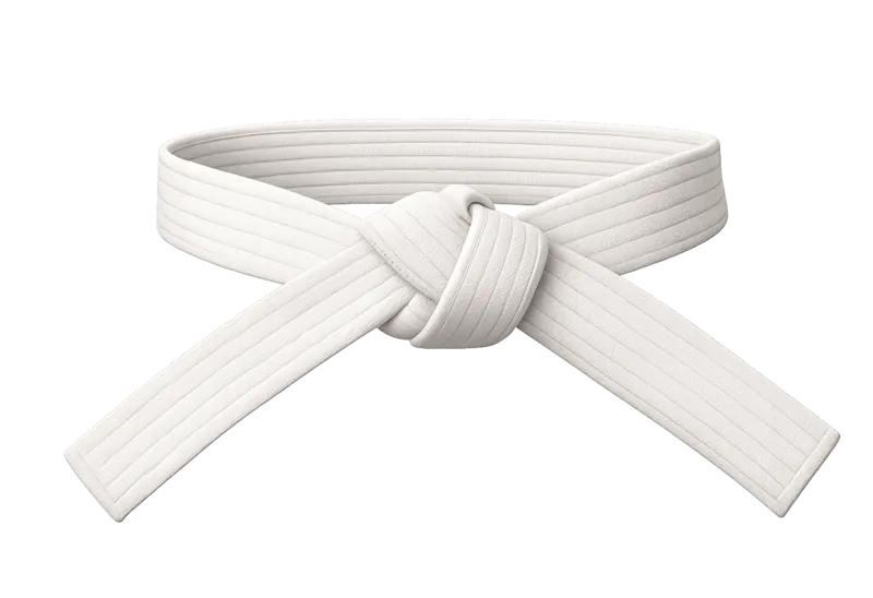 White jiu-jitsu belt